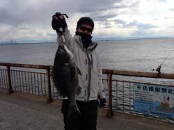 【出ました！メタボチヌ～！】南芦屋浜 