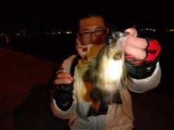 神戸空港シロウオでメバル炸裂！！