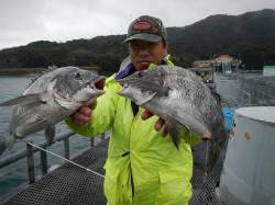 とっとパーク小島 カゴぶっこみ釣りでチヌ3…