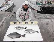 イシキリにてグレ46㎝！ 