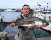 黒島の筏で85cmのスズキ上がりました♪