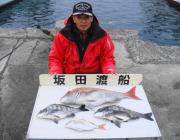 黒島の筏 チヌ40〜45cm他70cmマダ…