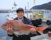 黒島の筏 チヌ40〜45cm他70cmマダイも