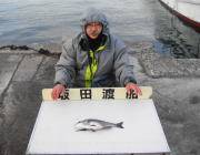 黒島の筏でチヌの釣果あり！