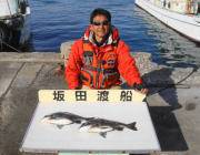 黒島の磯で40cmオーバーのチヌ匹の釣果☆…