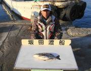 黒島の磯でも良型が上がっています！フカセ釣…