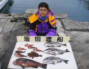 鷹島のカンドリ  チヌ＆カンダイ釣果