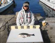 黒島の磯 フカセでチヌの釣果
