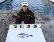 黒島の磯 フカセでチヌの釣果