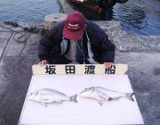 黒島の筏 チヌ４３～４７ｃｍ２匹の釣果