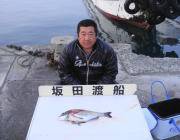 黒島の磯 チヌ45cm釣果