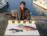 黒島の筏で、チヌとカンダイの釣果あり！