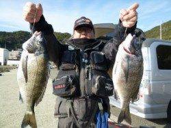 北風強い中、磯で良型チヌ釣れています！