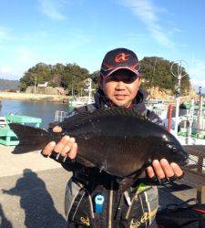 出ました! 実寸51.1cm腹ボテのグレ!!