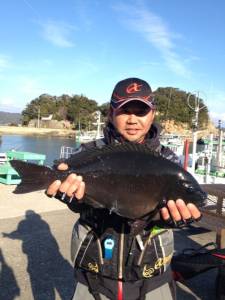 出ました！ 実寸51.1ｃｍ腹ボテのグレ！…