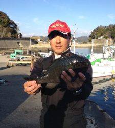 出ました! 実寸51.1cm腹ボテのグレ!!