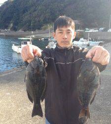 双子の親でフカセ釣り、36cmまでのグレＧＥＴ！