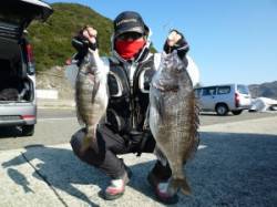 磯（ヒラバエ）でのフカセ釣りでチヌ！