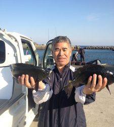 潮が入ってからグレが釣れました！萩尾で磯フカセ釣果