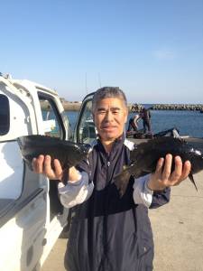 潮が入ってからグレが釣れました！萩尾で磯フ…