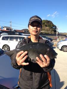 串本の磯 グレ41cmの釣果も