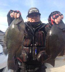 串本の磯 フカセでグレ〜44.5cm6匹