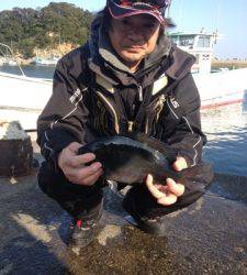 双子の親でフカセ釣り、グレは昼からは良かった♪