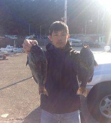 串本の磯 今日は昼からグレのアタリ