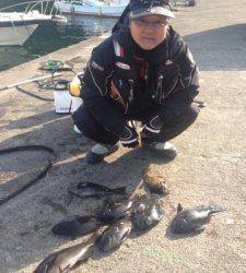 萩尾グレ釣果、エサ取りは少ないみたいです。