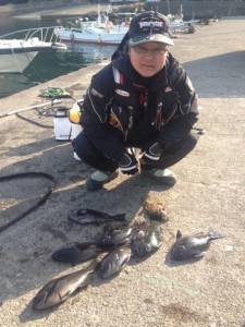 萩尾グレ釣果、エサ取りは少ないみたいです。…