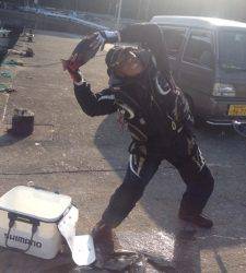 萩尾グレ釣果、エサ取りは少ないみたいです。