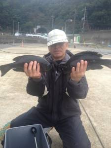 グレにイガミにカワハギ、ウマヅラと大漁です…