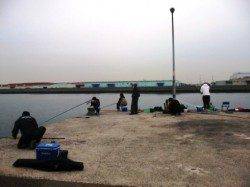 順調です♪　エビ撒き好調な大津川尻水銀灯！