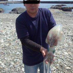 江住漁港レッド系のエギ3.5で2kgアップのアオリイカ♪