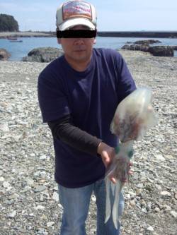 江住漁港レッド系のエギ3.5で2kgアップ…