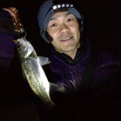 ジグヘッドを巻いてメバル&シーバス☆