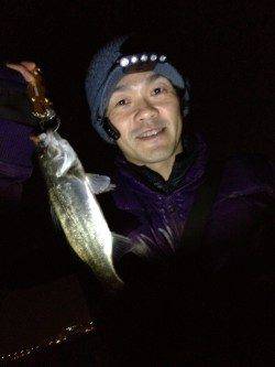 ジグヘッドを巻いてメバル&シーバス☆