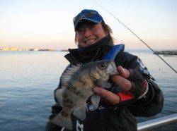 イカナゴをメインベイトとしている魚とは？？【高田玲欧氏連載記事No.12】