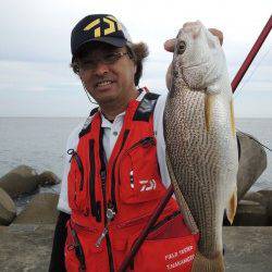 今回のお題は「イシモチ」の巻でっせ 【中本嗣通氏連載記事No.13】