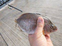 19日、神戸各ポイントRT