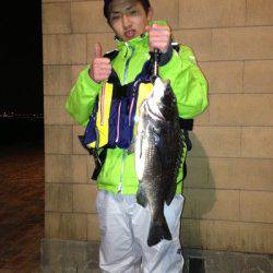 舞洲 ルアーでハネ60cm＆チヌ50cm