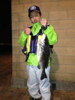 舞洲 ルアーでハネ60cm＆チヌ50cm