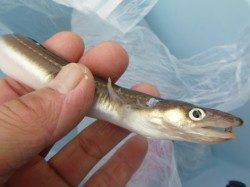 兵突、北公園ＲＴ