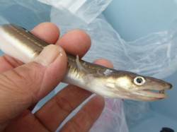 兵突、北公園ＲＴ