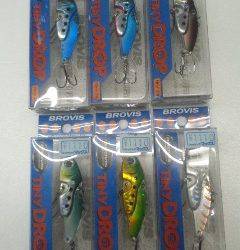 神戸沖堤防シーバス情報♪