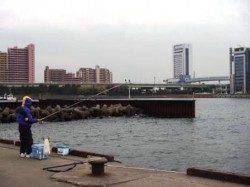 いろいろ厳しい…泉大津RT　２５日　朝