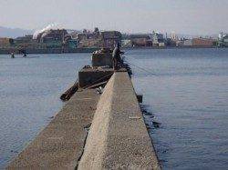 春ハネ快釣♪泉大津リアルタイム　２６日　朝