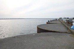 佐野食ｺﾝ　夕方りある♪