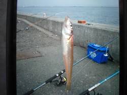 ゴールデンタイムの兵突のキス！