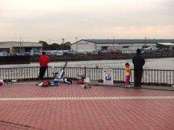 本日は渋め？27日夕方泉大津ＲＴ